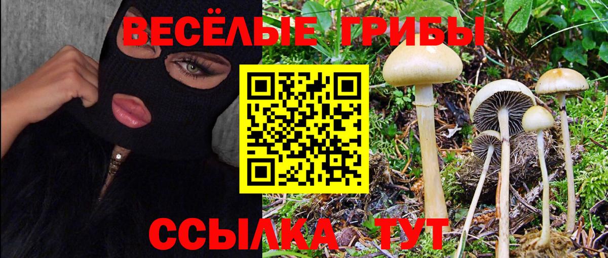 Псилоцибиновые грибы мицелий  Галлюциногенные грибы GOLDEN TEACHER  Вход с VPN  Сибай 