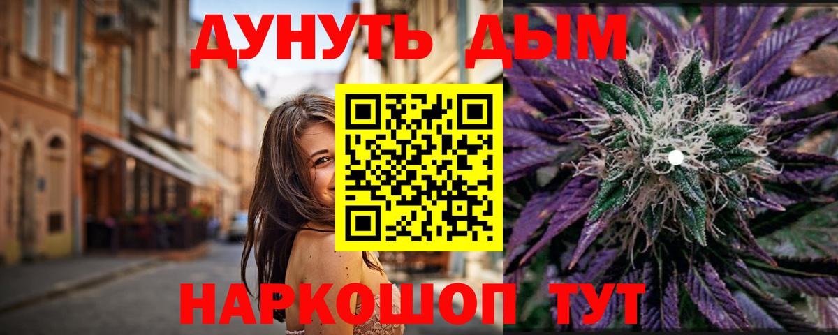 Конопля ГИДРОПОН  Канабис конопля  Сибай  Шишки марихуана сатива  Вход с VPN  Шишки марихуана план 